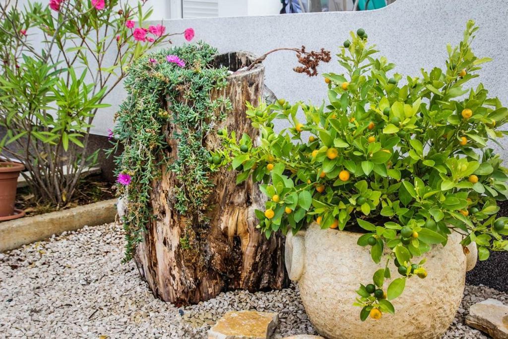 Apartmani Bartolic Rogoznica  Kültér fotó